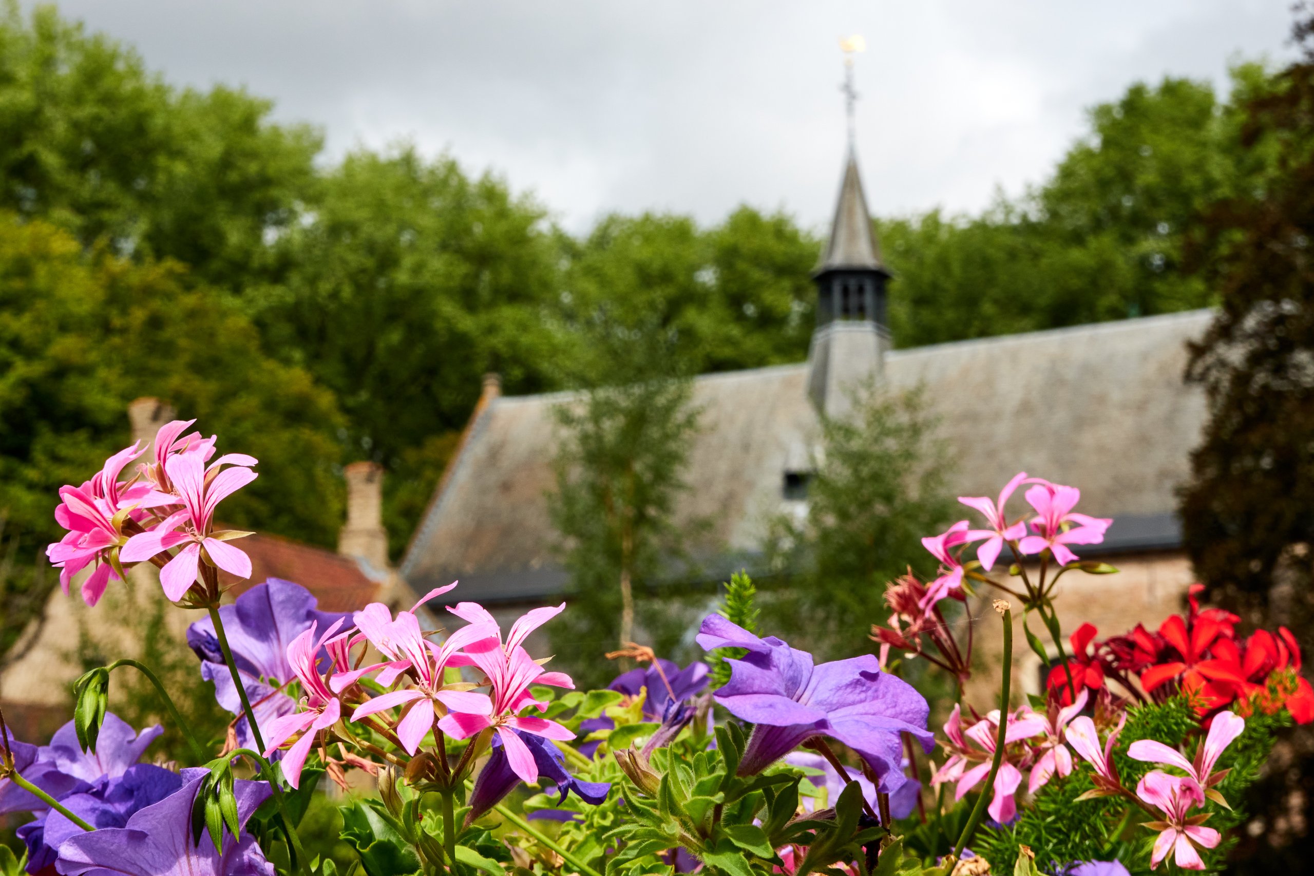 2022 08 23 Brugge 2681